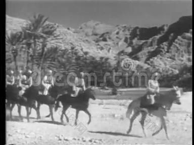 摩洛哥骑兵在沙漠中冲锋